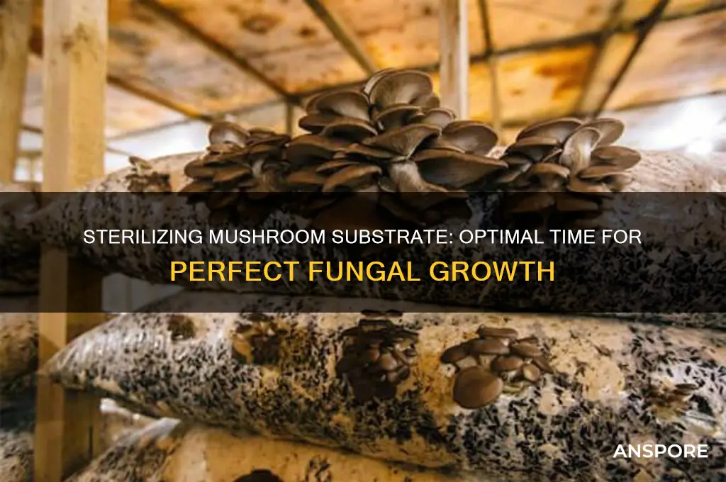 how long to sterilize mushroom substrate