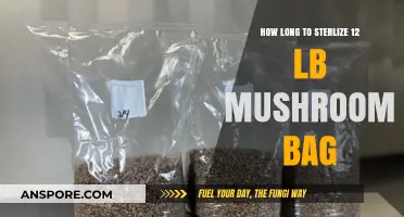 Sterilizing 12 lb Mushroom Bags: Optimal Time for Perfect Results