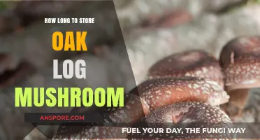 Storing Oak Logs for Mushroom Cultivation: Optimal Duration and Tips