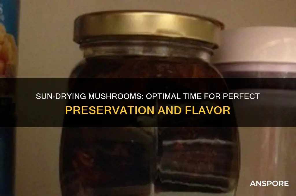 how long to sun dry mushrooms