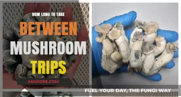 Optimizing Mushroom Trip Frequency: Balancing Safety and Psychedelic Exploration