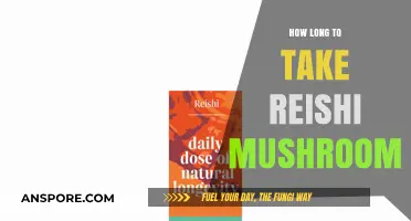 Reishi Mushroom Dosage: Optimal Timing for Health Benefits Explained