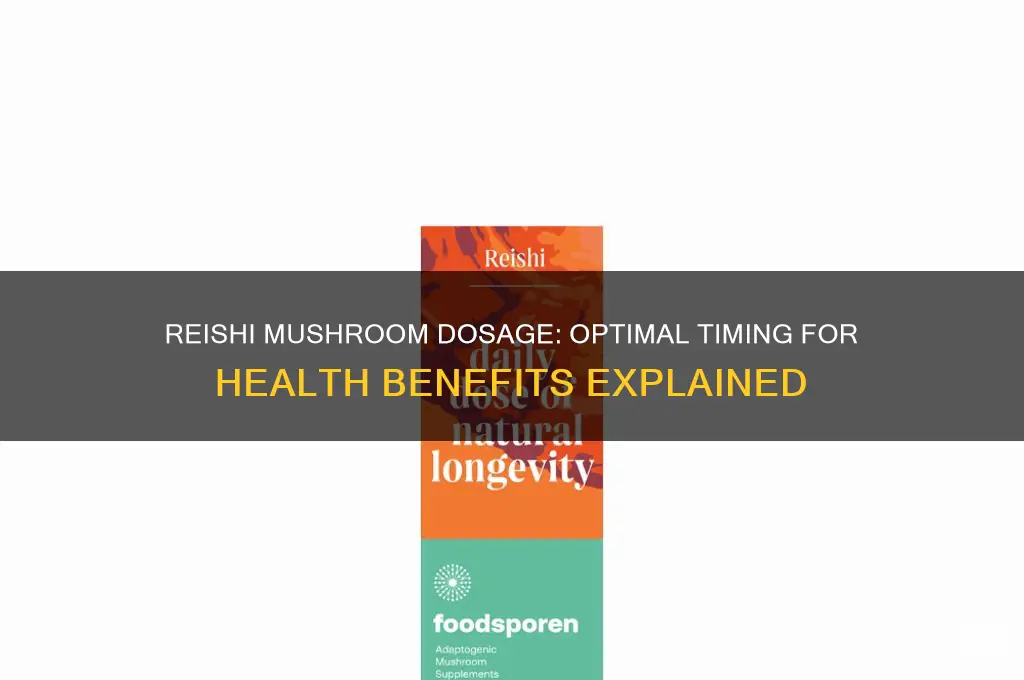 how long to take reishi mushroom