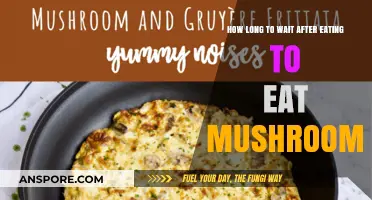 Timing Your Mushroom Meal: Post-Eating Wait Time Explained