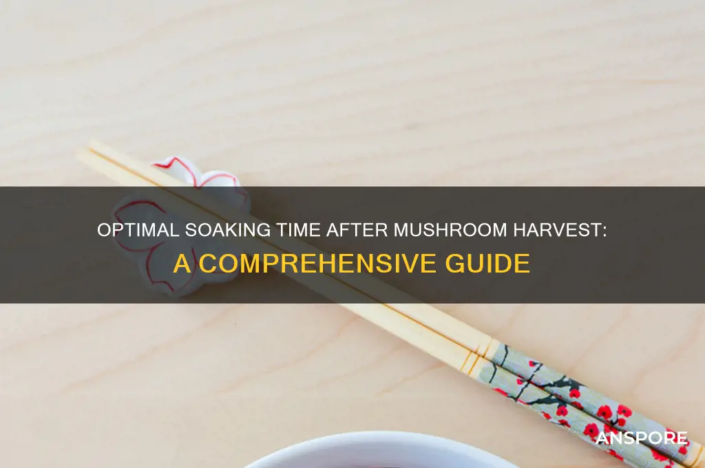 how long to wait after mushroom harvest before soaking