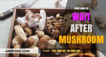 Timing Your Trip: How Long to Wait After Eating Mushrooms