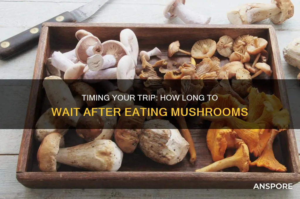 how long to wait after mushrooms