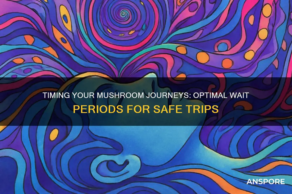 how long to wait between mushroom trips