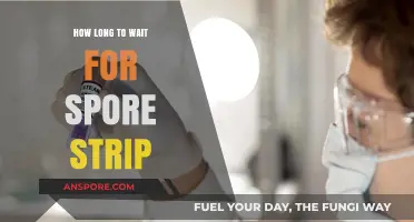 Spore Strip Testing: Optimal Waiting Time for Accurate Results