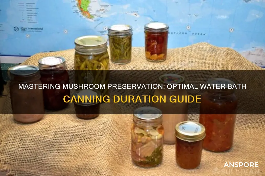 how long to water bath mushrooms