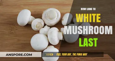 White Mushrooms Shelf Life: How Long Do They Stay Fresh?