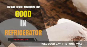 How Long Do White Mushrooms Stay Fresh in the Fridge?