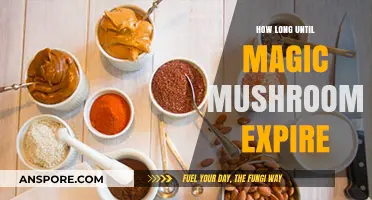 Magic Mushrooms Shelf Life: Expiration and Potency Over Time Explained