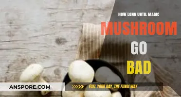 Magic Mushrooms Shelf Life: How Long Do They Stay Fresh?