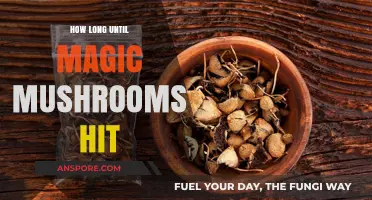 Magic Mushrooms: Timing the Onset of Psychedelic Effects Explained