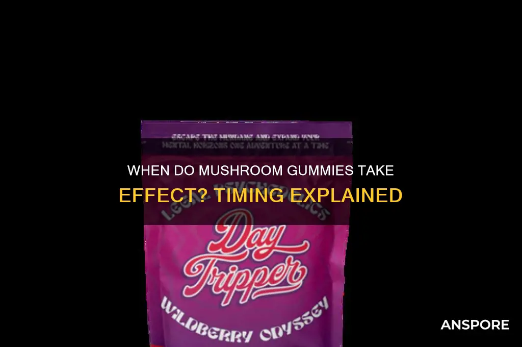 how long until mushroom gummies kick in