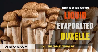 Duxelle Mushroom Liquid Evaporation: Timing Tips for Perfect Results