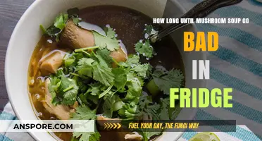 Shelf Life of Mushroom Soup: Fridge Storage Tips and Duration