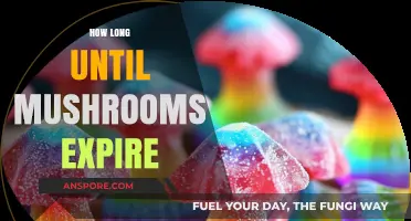 Shelf Life Secrets: How Long Do Mushrooms Stay Fresh?