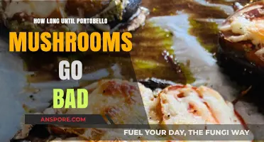 Portobello Mushrooms Shelf Life: How Long Do They Stay Fresh?