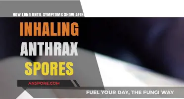 Anthrax Exposure: Understanding the Timeline of Symptom Onset After Inhalation