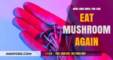 When Can You Safely Enjoy Mushrooms Again? A Recovery Guide