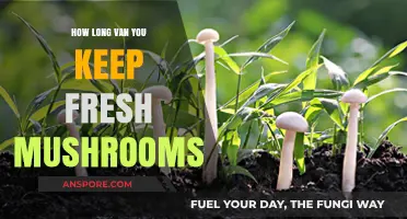 Fresh Mushrooms: How Long Can You Keep Them Fresh?