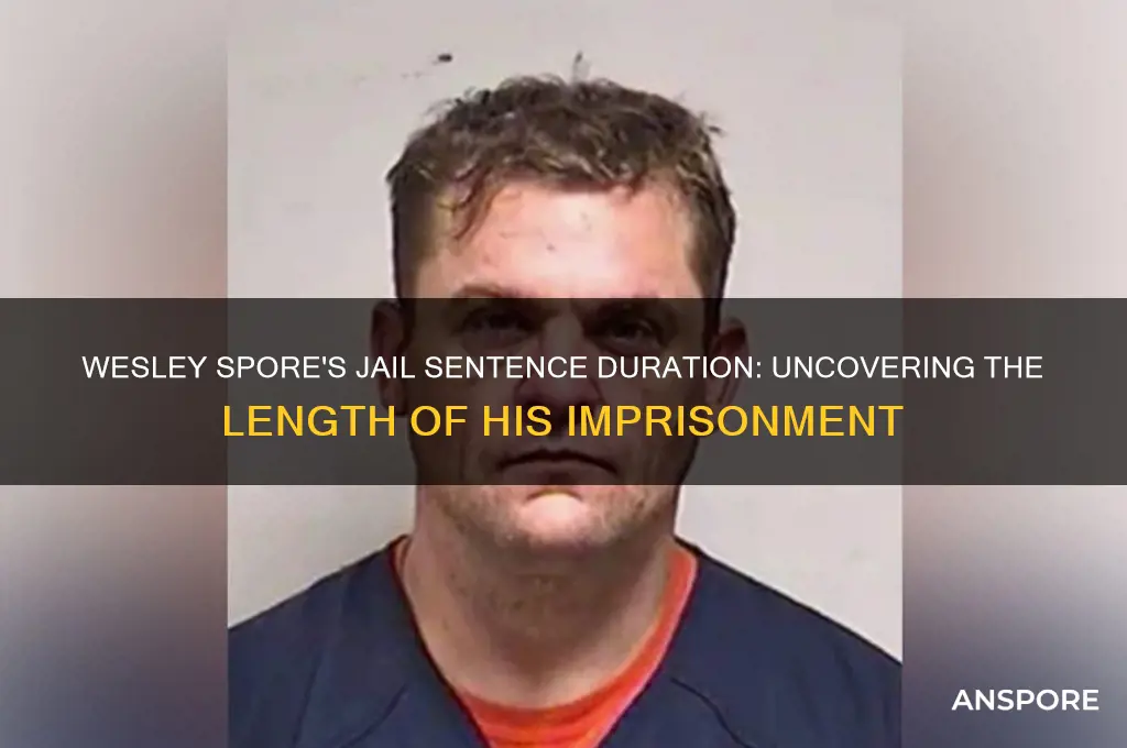how long waswesley spores com jail for