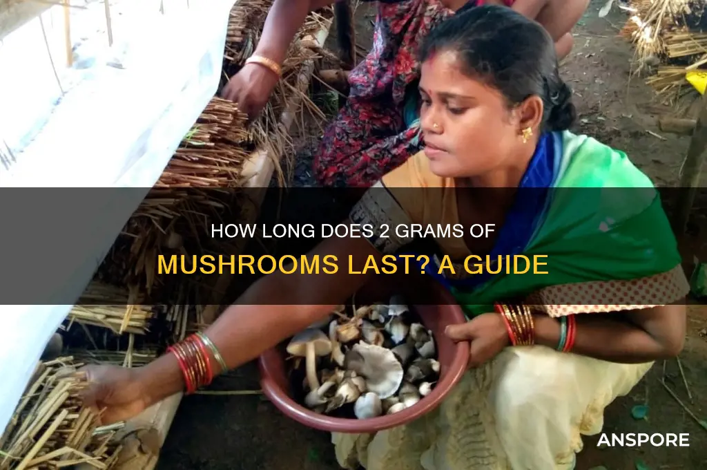 how long will 2 grams of mushrooms last