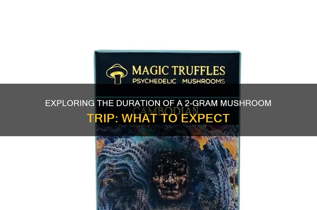 how long will a 2 gram mushroom trip last