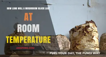 Shelf Life of Mushroom Blocks: Room Temperature Storage Tips