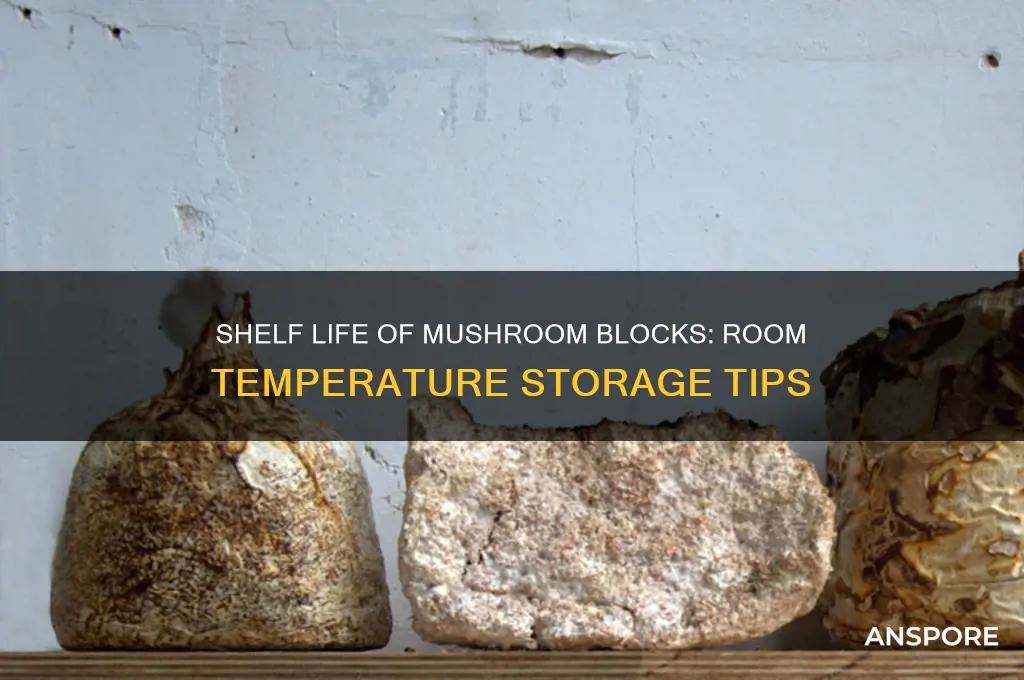 how long will a mushroom block last at room temperature