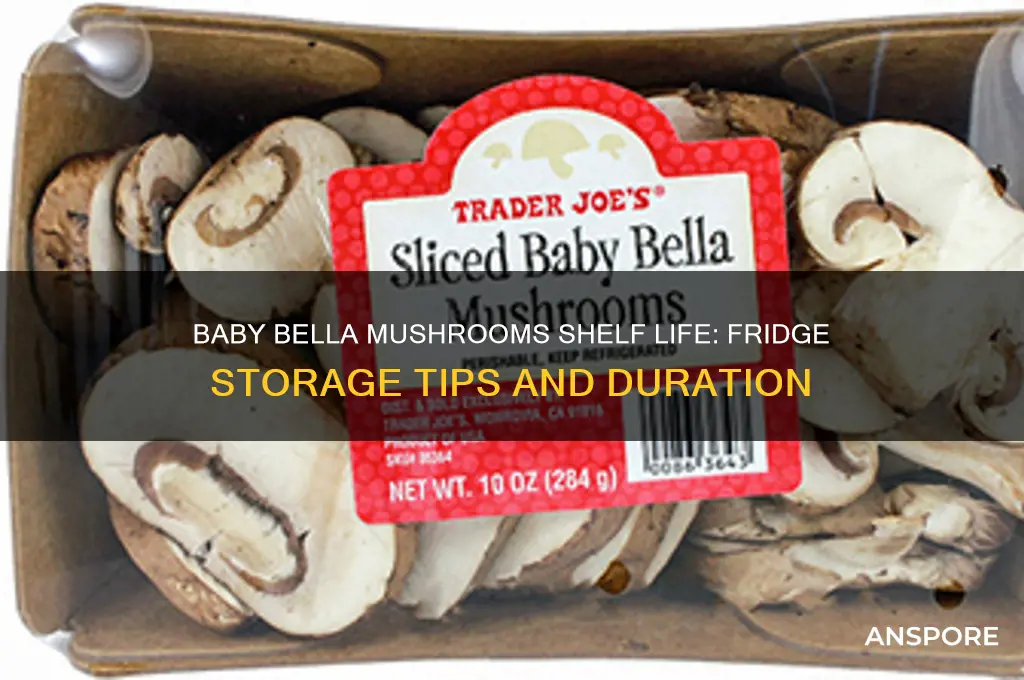 how long will baby bella mushrooms last in the fridge