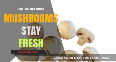 Maximizing Freshness: How Long Do Button Mushrooms Stay Edible?