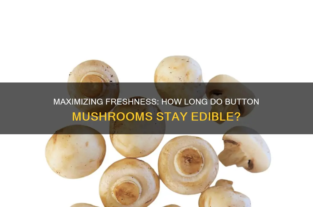 how long will button mushrooms stay fresh