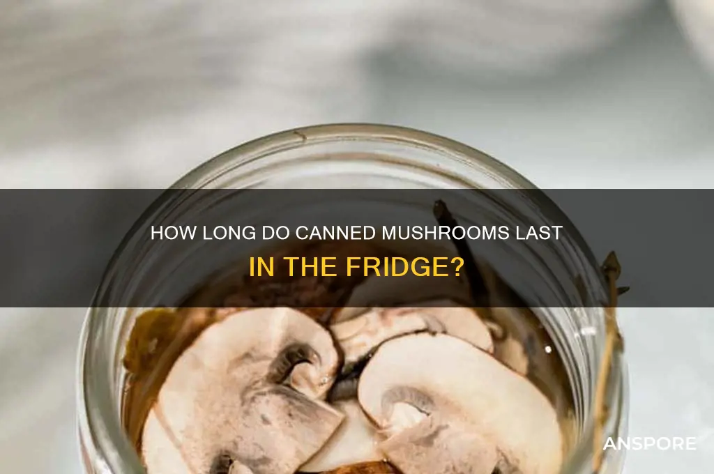 how long will ca ned mushrooms lasg in a refridgerater