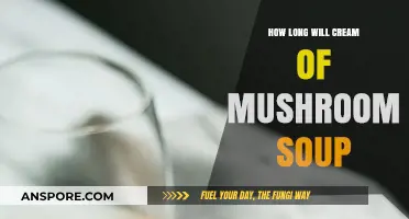 Cream of Mushroom Soup Shelf Life: Storage Tips and Freshness Guide