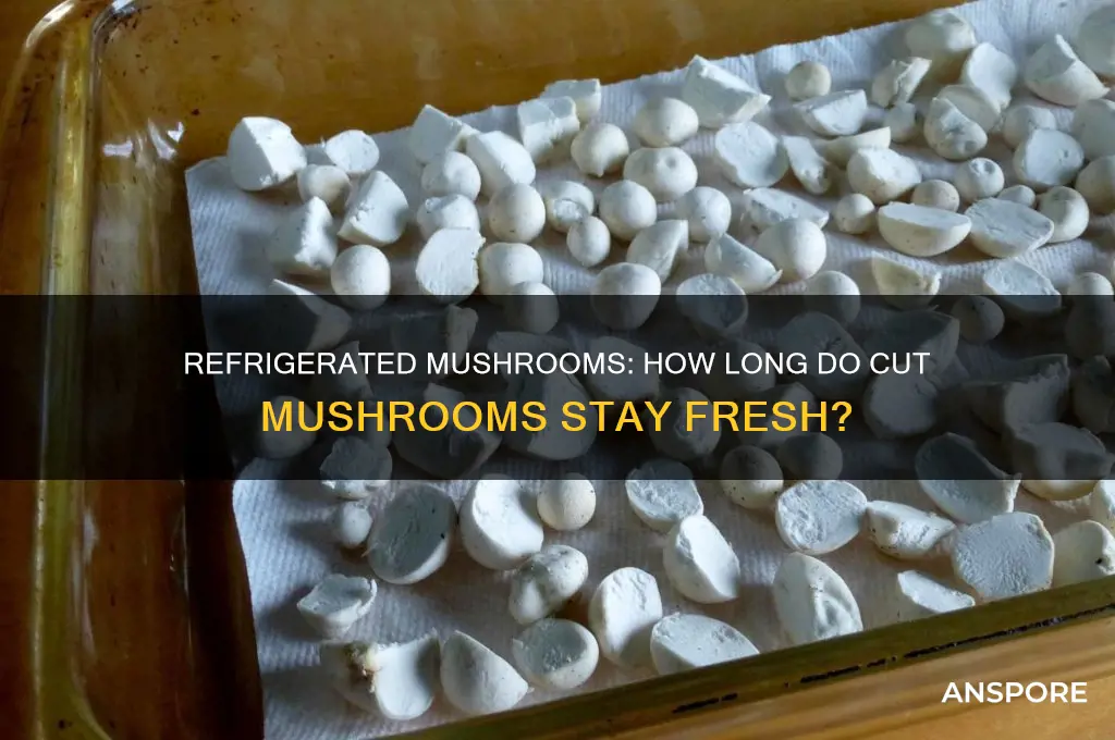 how long will cut mushrooms keep in refrigerator