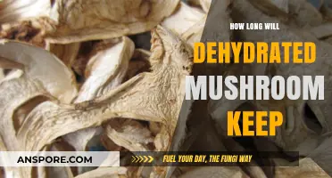 Shelf Life of Dehydrated Mushrooms: Storage Tips for Longevity