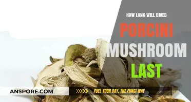 Dried Porcini Mushrooms Shelf Life: Storage Tips for Longevity