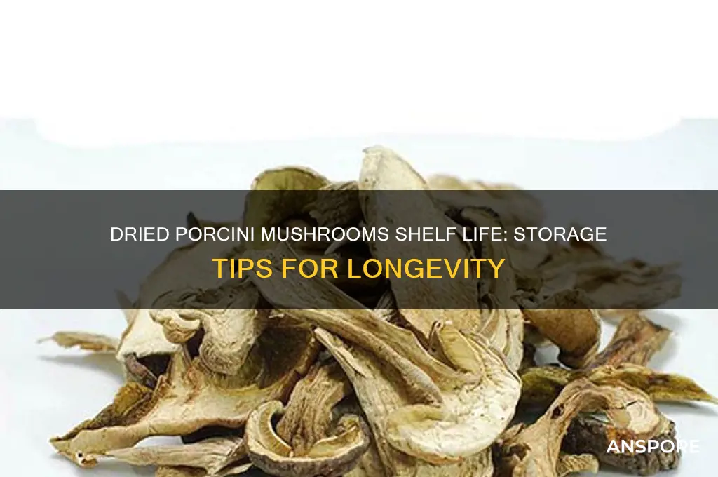 how long will dried porcini mushrooms last