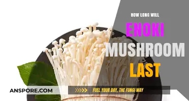 Enoki Mushrooms Shelf Life: Storage Tips for Maximum Freshness