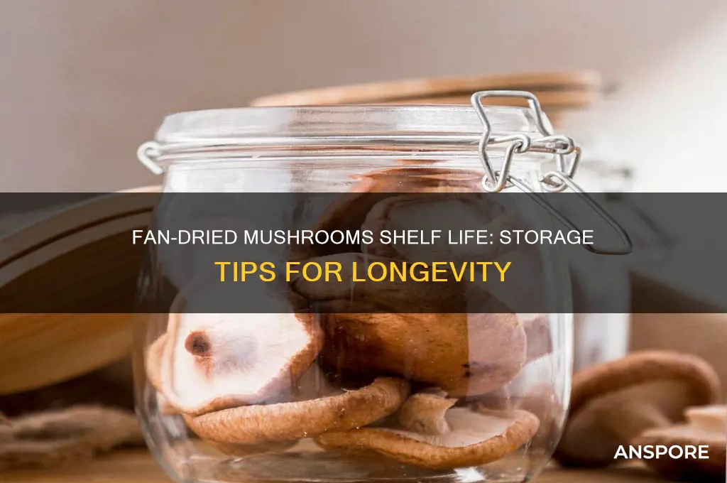 how long will fan dried mushrooms last