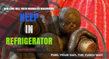 Fresh Marinated Mushrooms: Refrigerator Storage Lifespan Explained