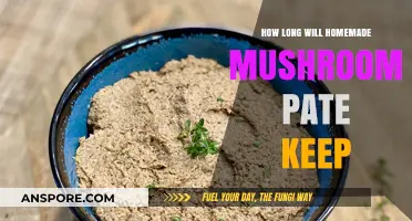 Homemade Mushroom Pate Shelf Life: Storage Tips and Freshness Duration