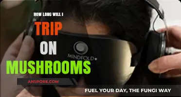 How Long Does a Mushroom Trip Last? A Comprehensive Guide