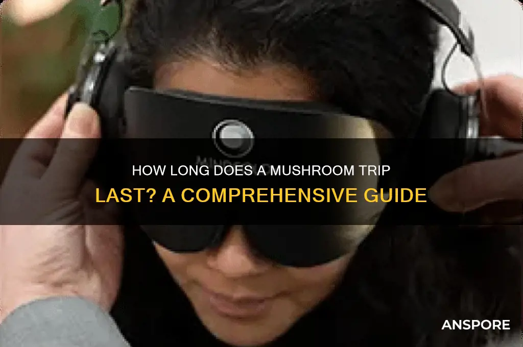 how long will i trip on mushrooms