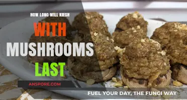 Shelf Life of Mushroom-Stuffed Kiesh: Storage Tips for Freshness