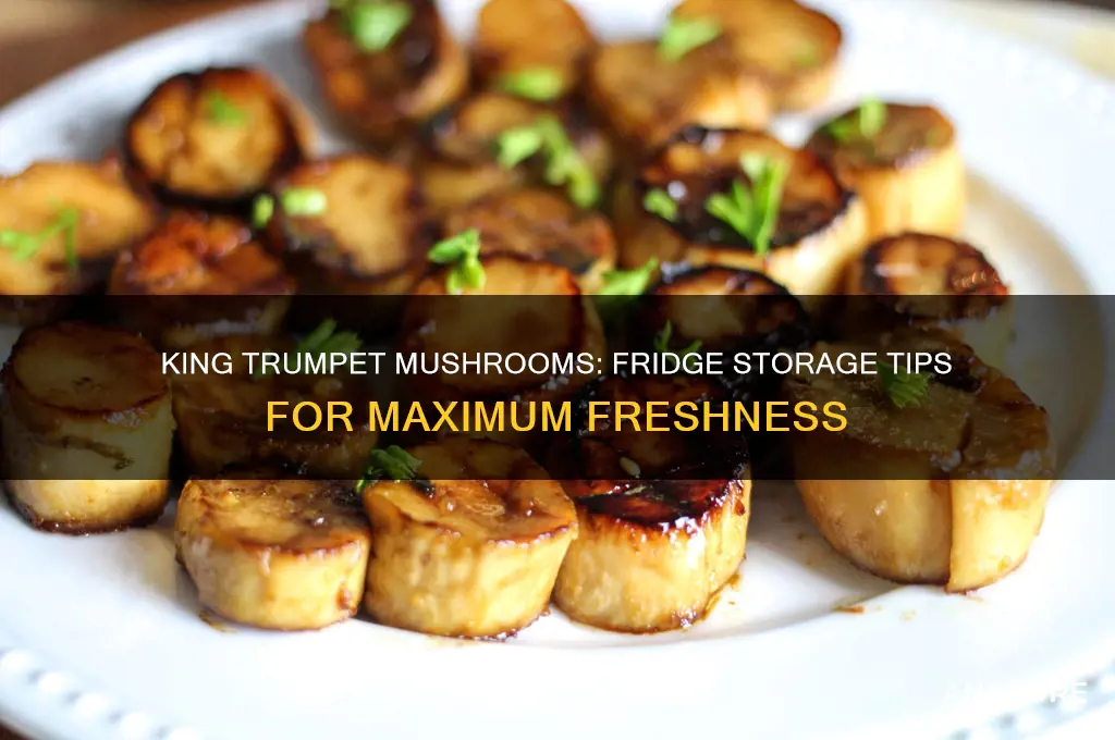 how long will king trumpet mushroom last in the fridge