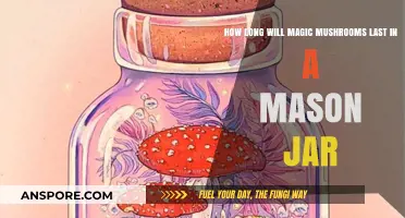 Preserving Psilocybin: Magic Mushrooms' Shelf Life in Mason Jars
